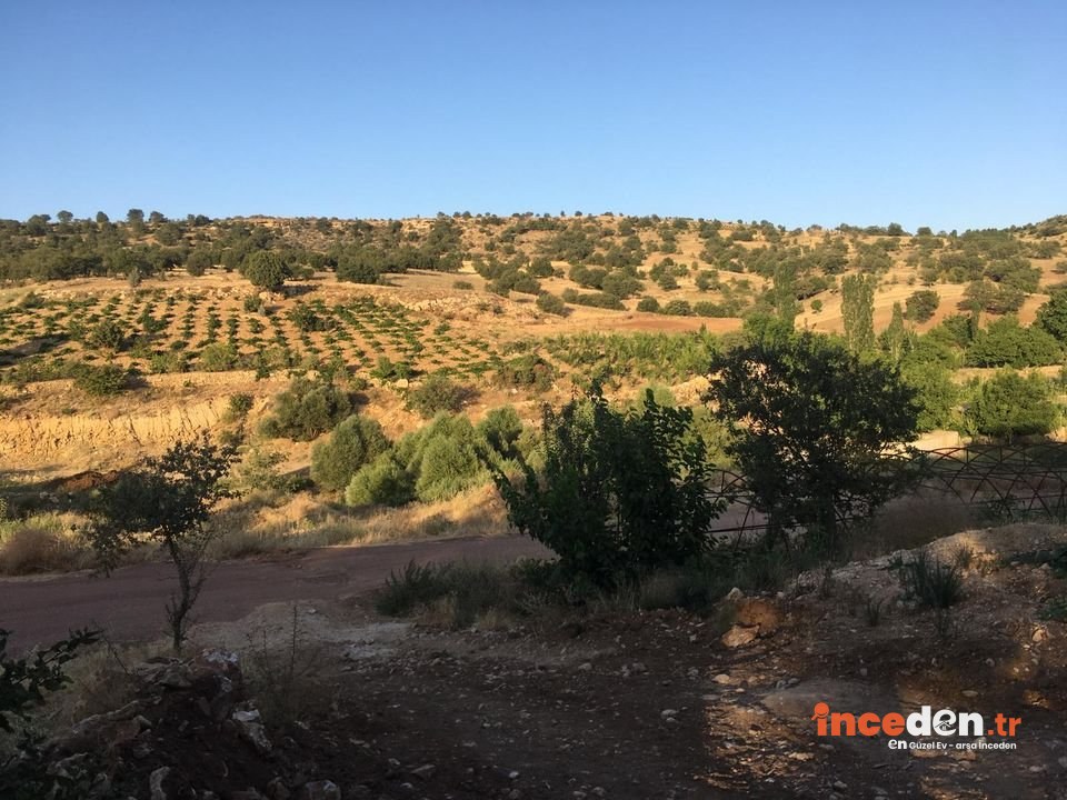 Morcalı Köyünde 787 M²   Yolu Olan Satılık Hobi Bahçesi — Karaman